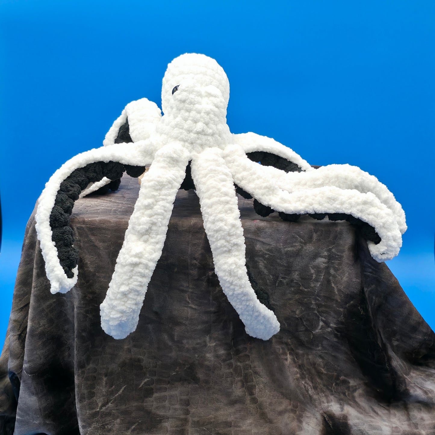 Anchor the Octopus