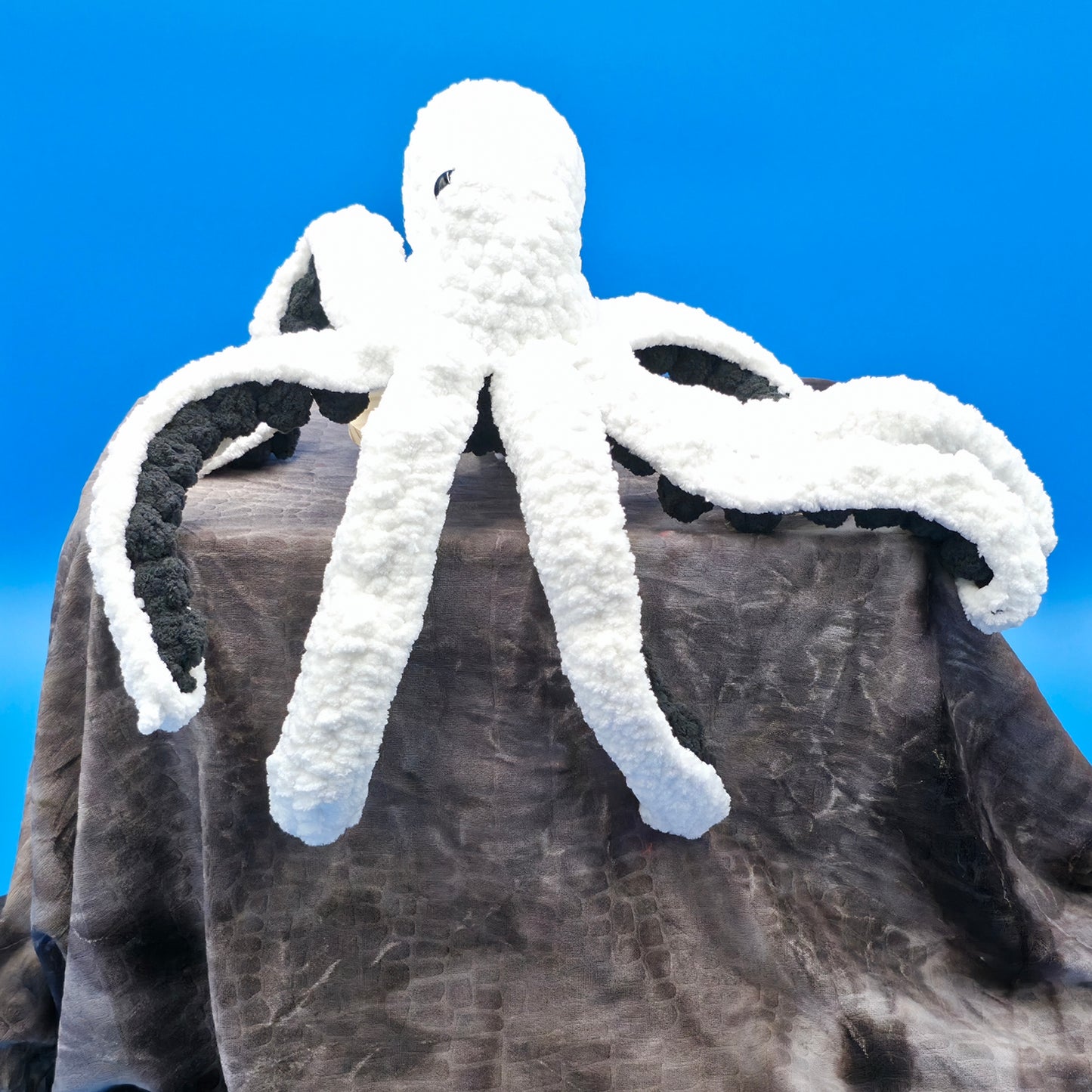 Anchor the Octopus
