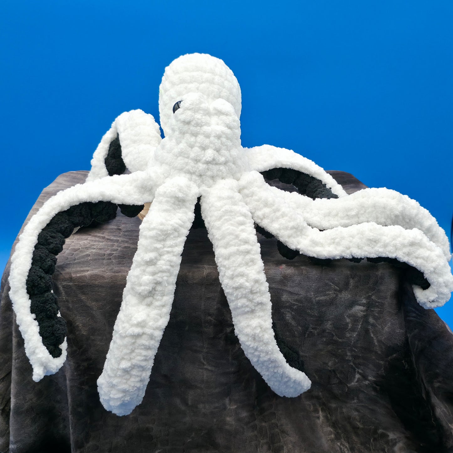Anchor the Octopus