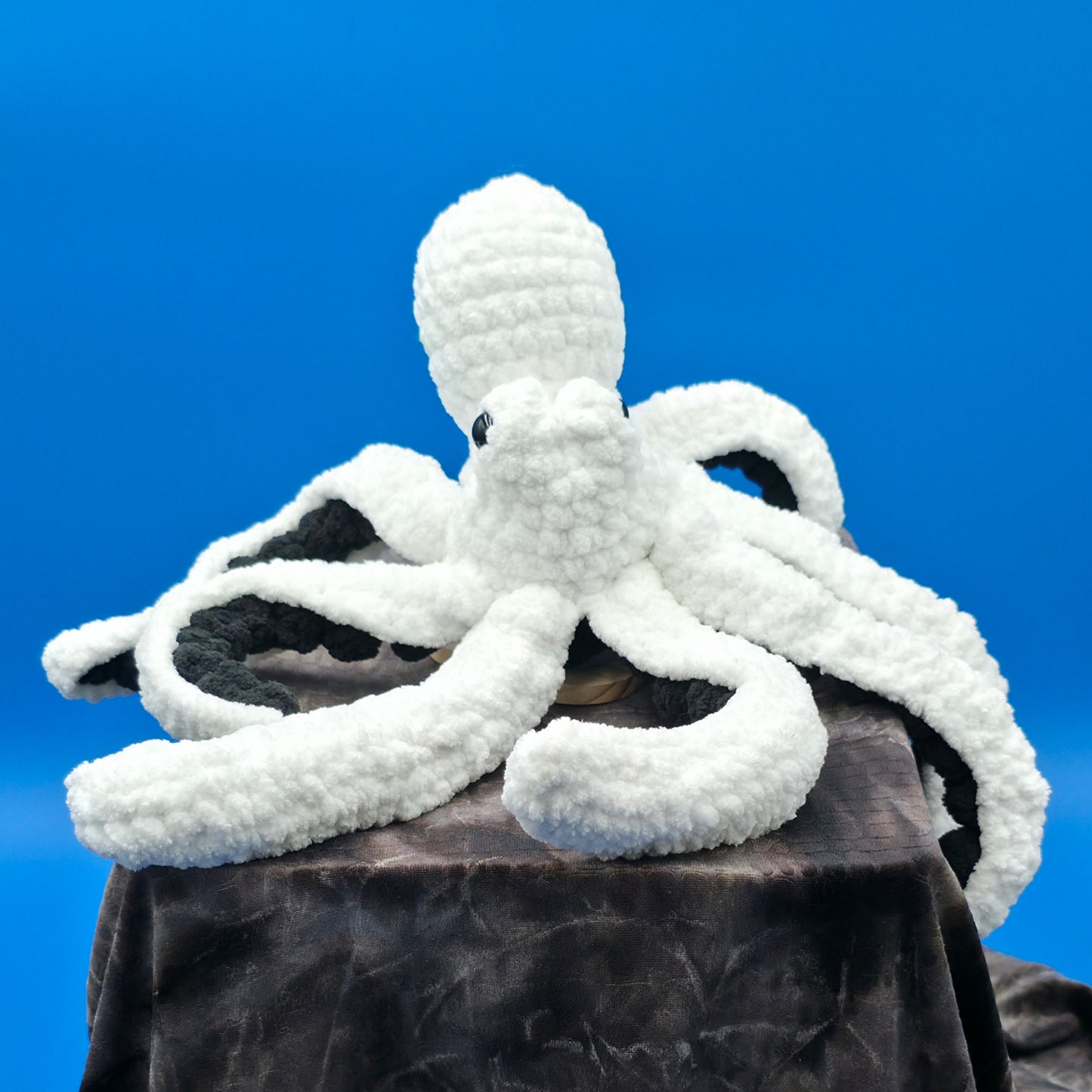 Anchor the Octopus