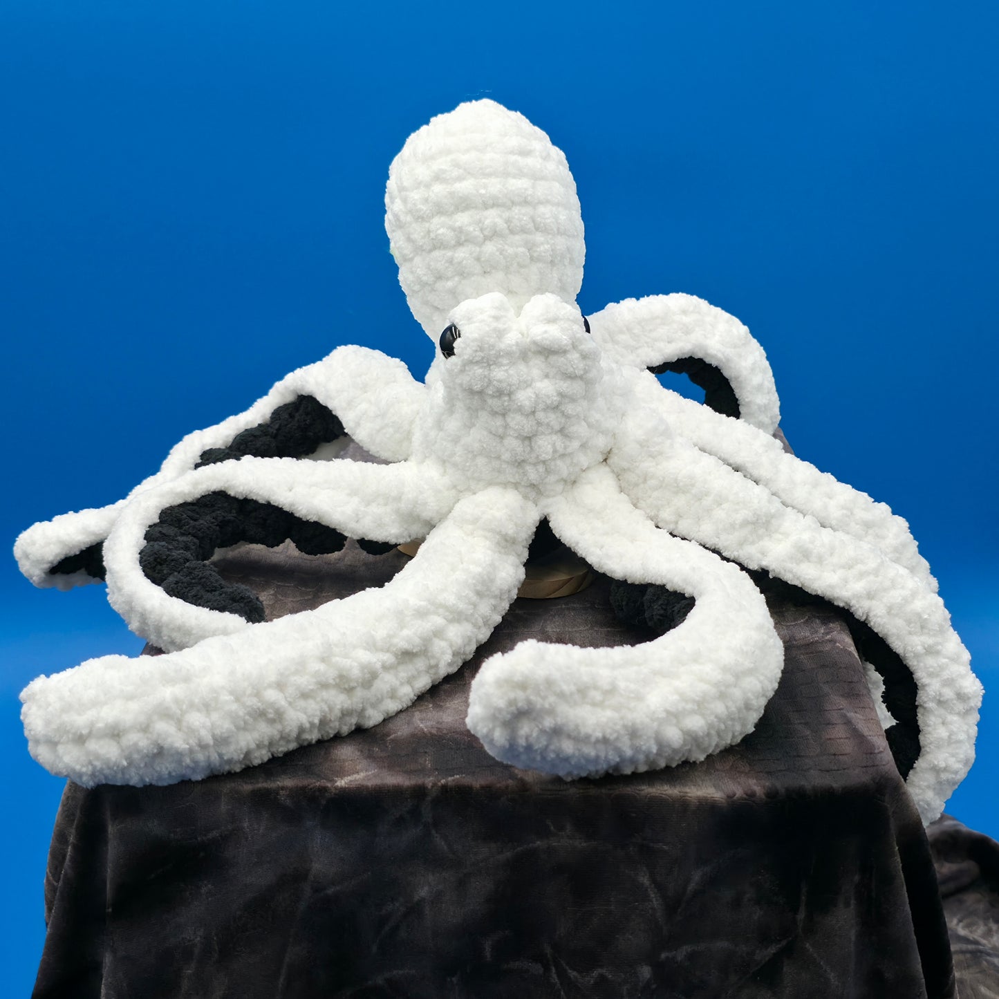 Anchor the Octopus