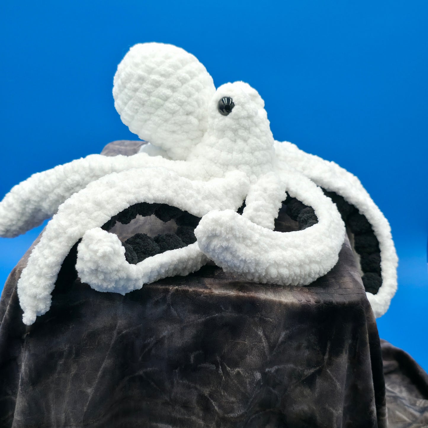 Anchor the Octopus