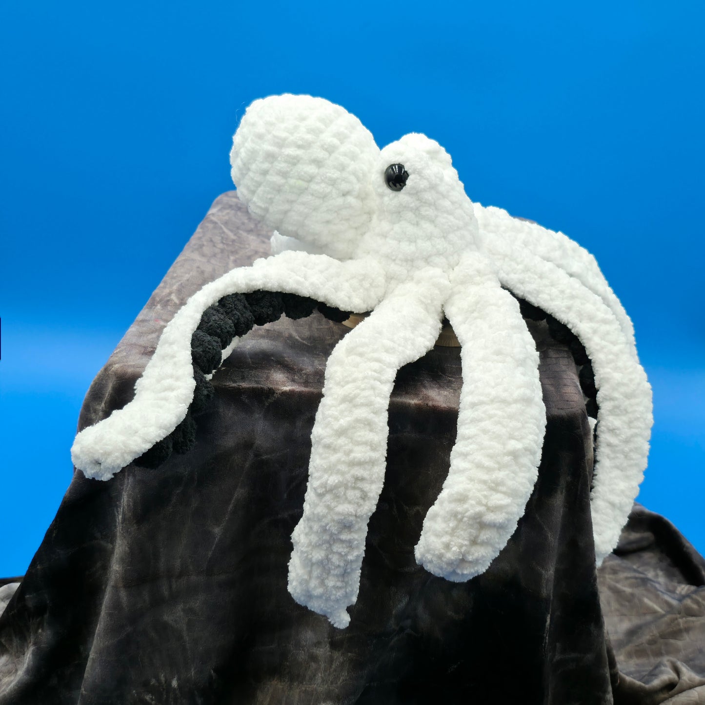 Anchor the Octopus
