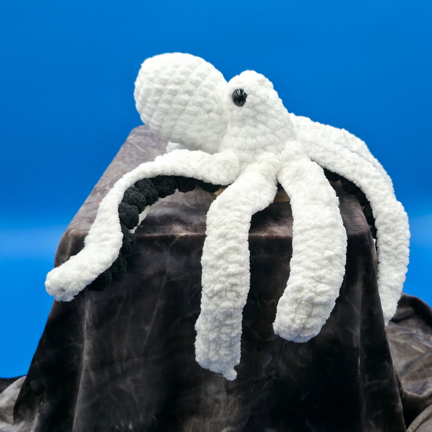 Anchor the Octopus