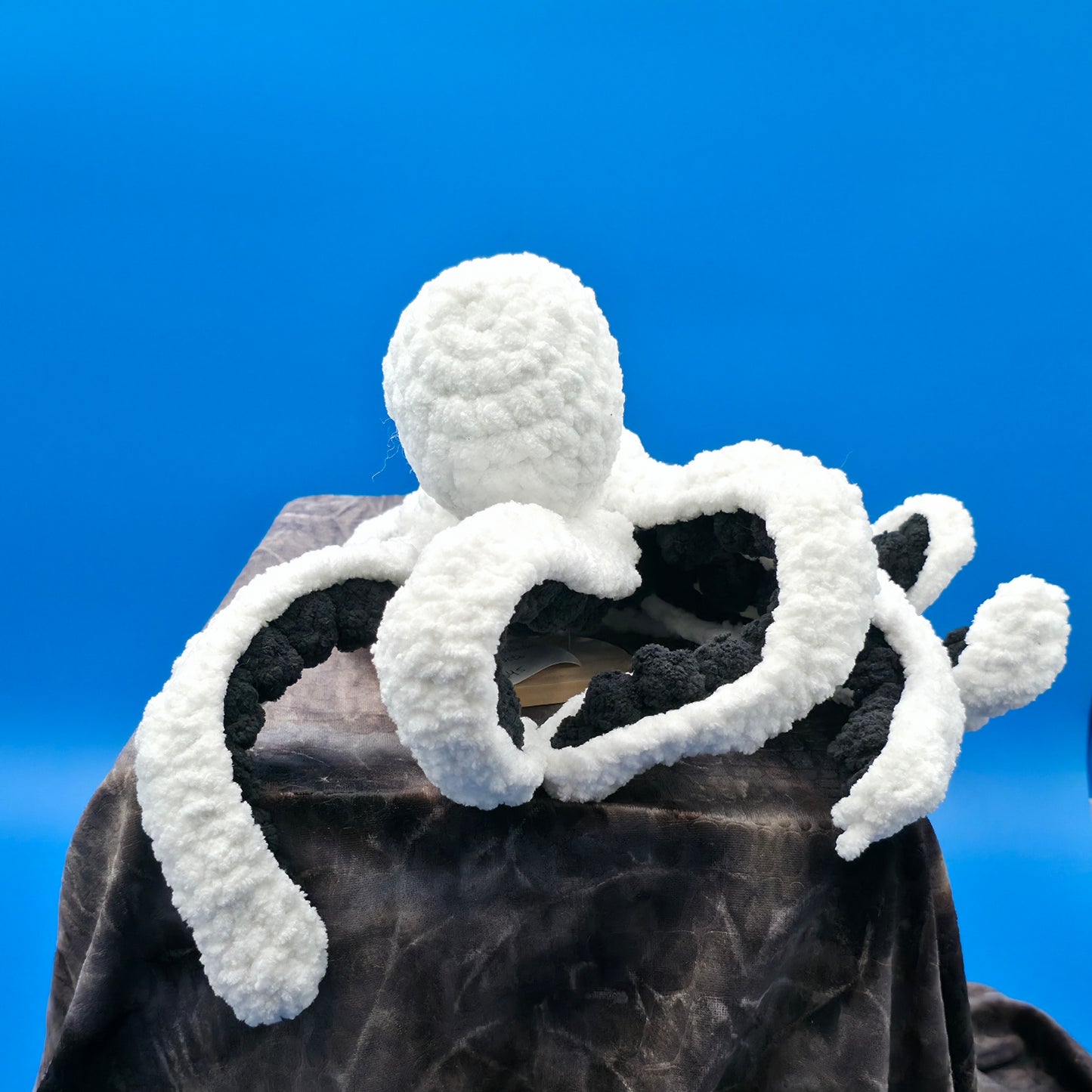 Anchor the Octopus