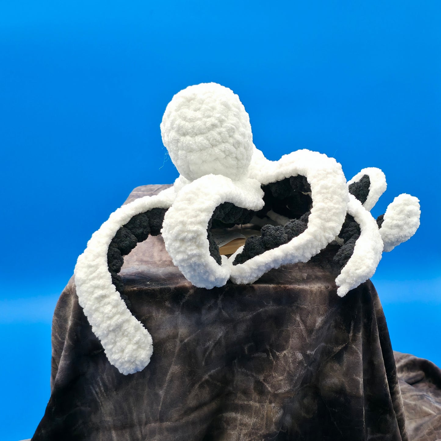Anchor the Octopus