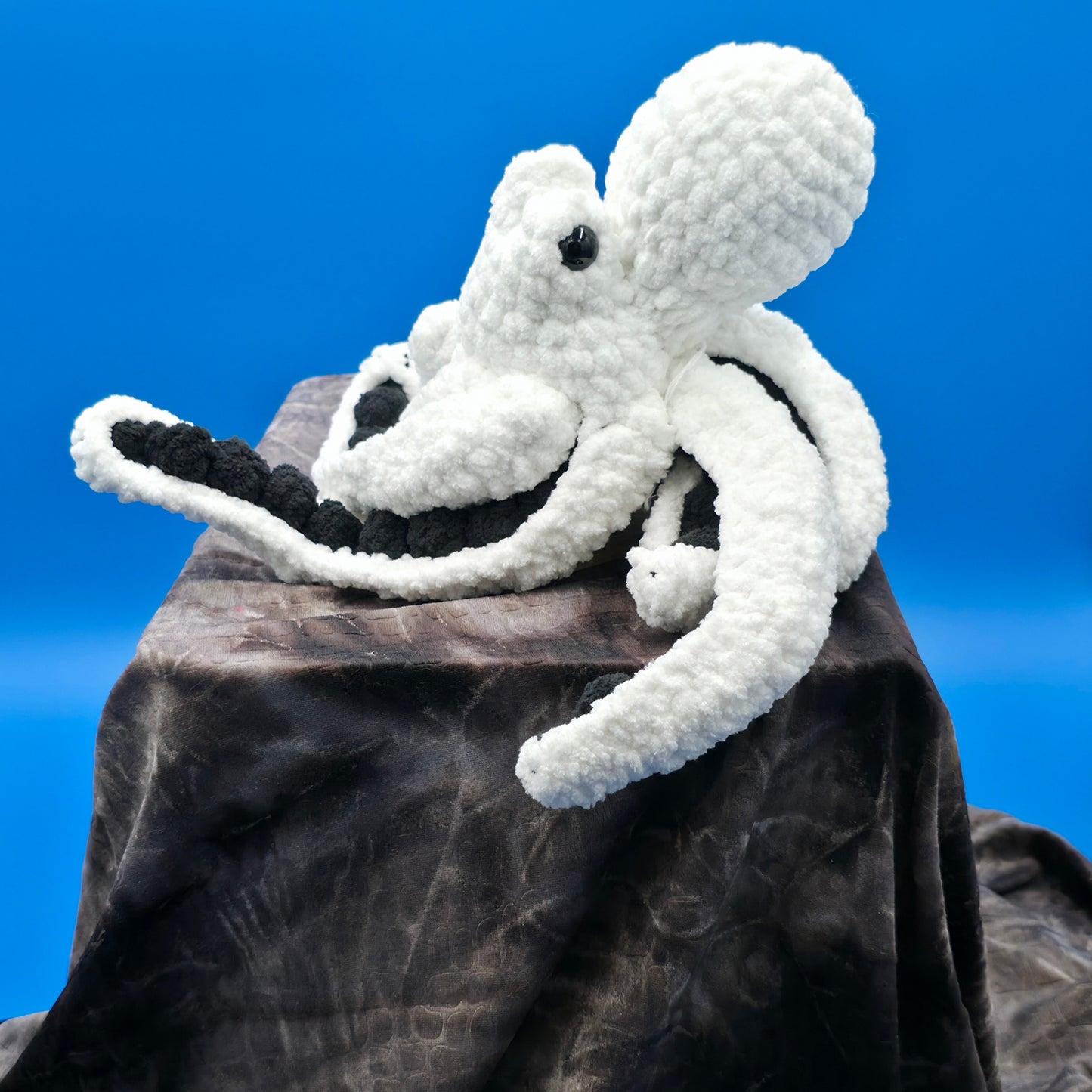 Anchor the Octopus