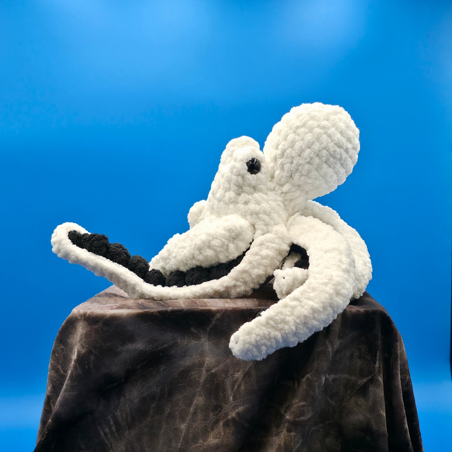 Anchor the Octopus
