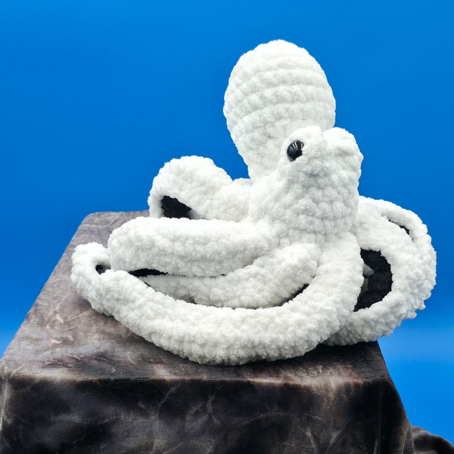 Anchor the Octopus