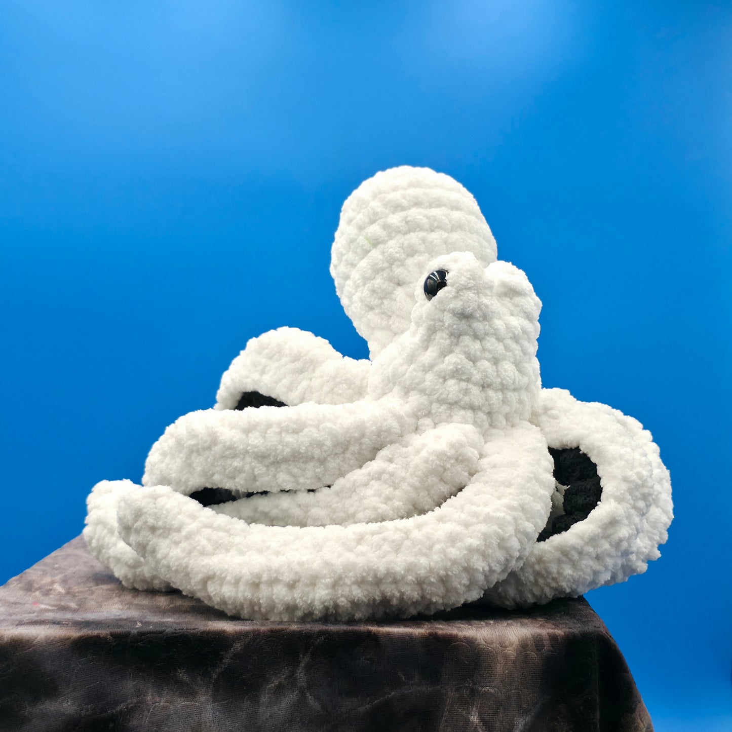 Anchor the Octopus