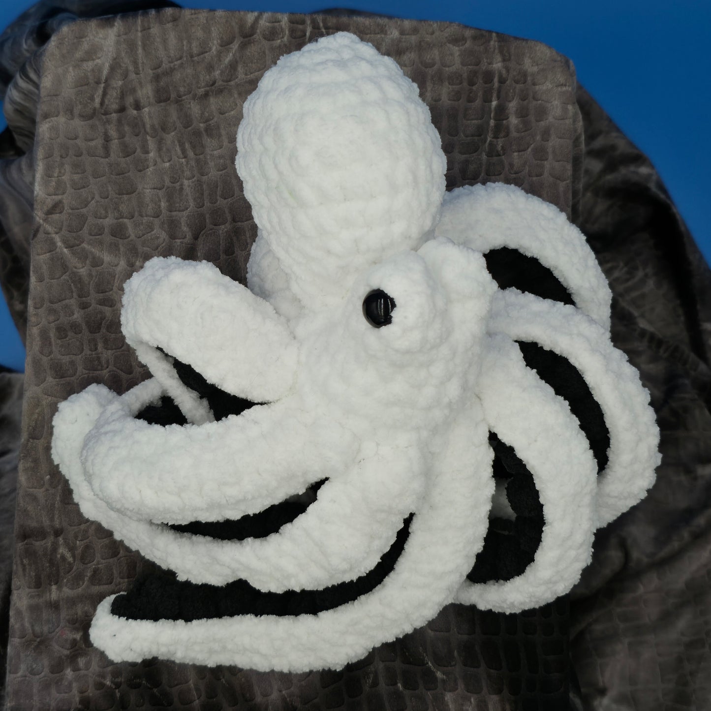 Anchor the Octopus