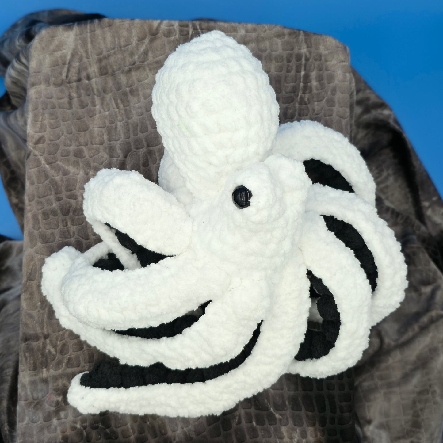 Anchor the Octopus