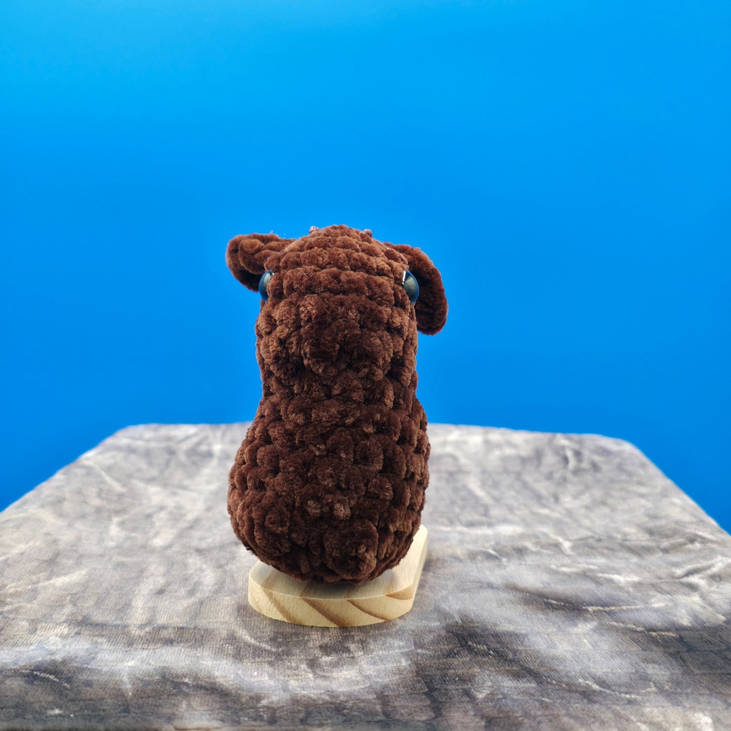 Chocolate Easter Bunny