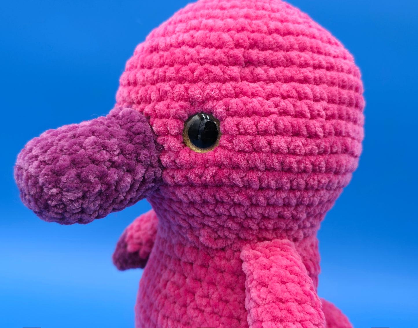 Platypus Plush named Paulie
